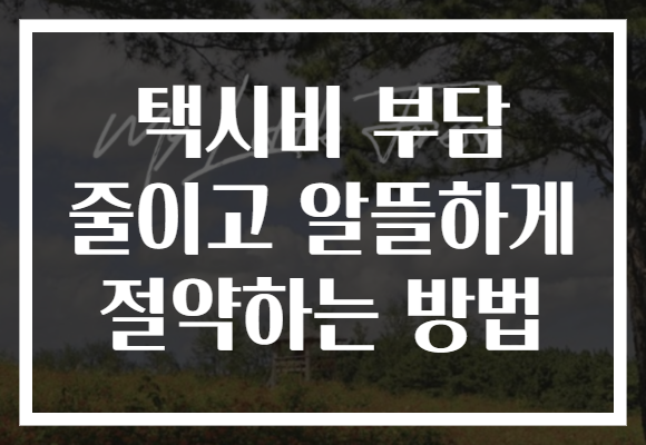 택시비 부담 줄이고 알뜰하게 절약하는 방법