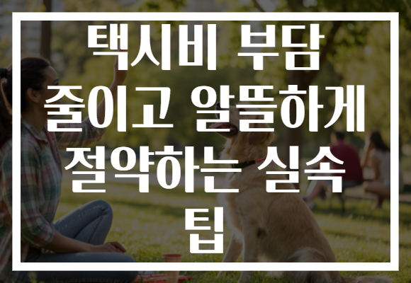 택시비 부담 줄이고 알뜰하게 절약하는 실속 팁