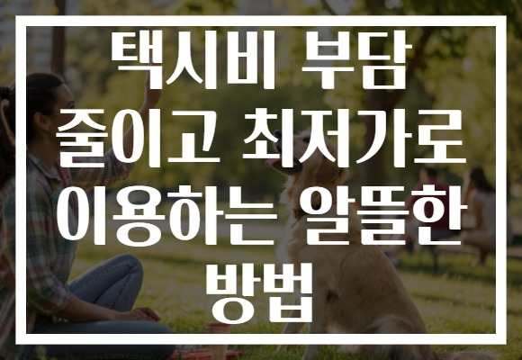 택시비 부담 줄이고 최저가로 이용하는 알뜰한 방법