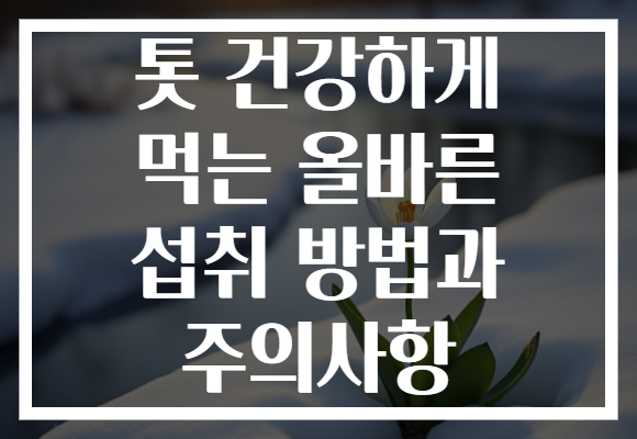 톳 건강하게 먹는 올바른 섭취 방법과 주의사항