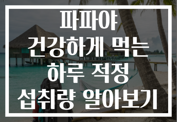 파파야 건강하게 먹는 하루 적정 섭취량 알아보기