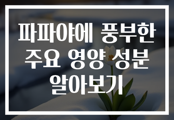 파파야에 풍부한 주요 영양 성분 알아보기