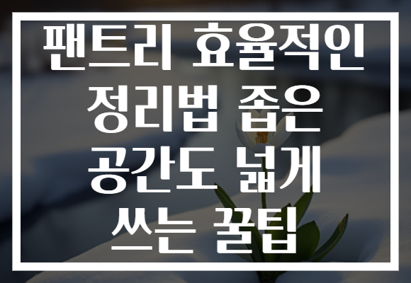 팬트리 효율적인 정리법 좁은 공간도 넓게 쓰는 꿀팁