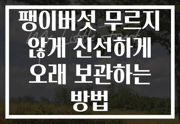 팽이버섯 무르지 않게 신선하게 오래 보관하는 방법