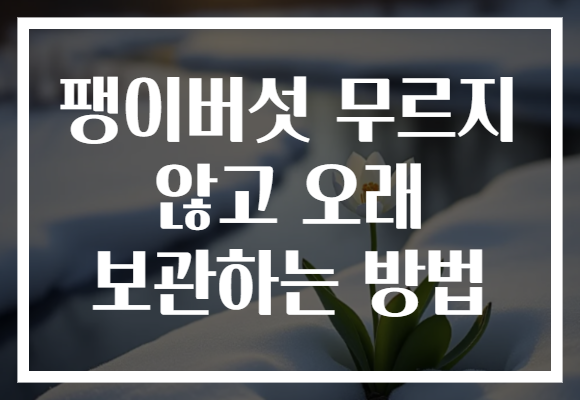 팽이버섯 무르지 않고 오래 보관하는 방법