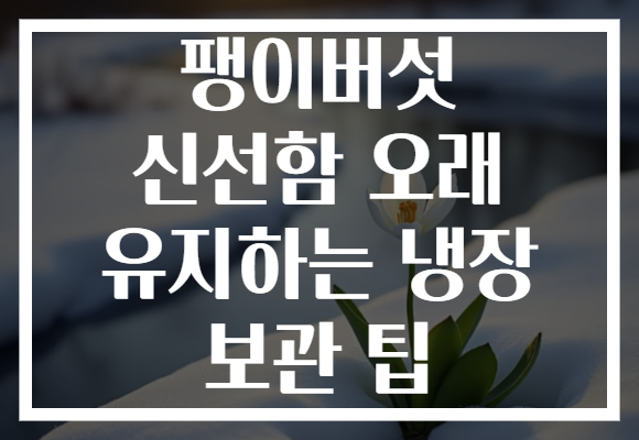팽이버섯 신선함 오래 유지하는 냉장 보관 팁