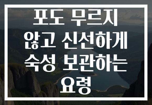 포도 무르지 않고 신선하게 숙성 보관하는 요령