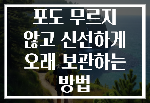 포도 무르지 않고 신선하게 오래 보관하는 방법