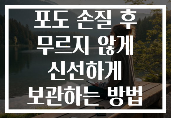 포도 손질 후 무르지 않게 신선하게 보관하는 방법