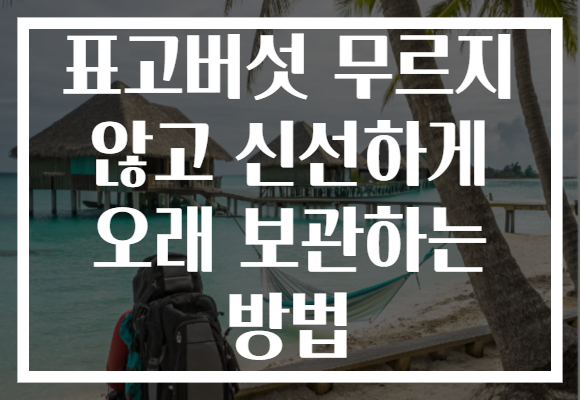 표고버섯 무르지 않고 신선하게 오래 보관하는 방법