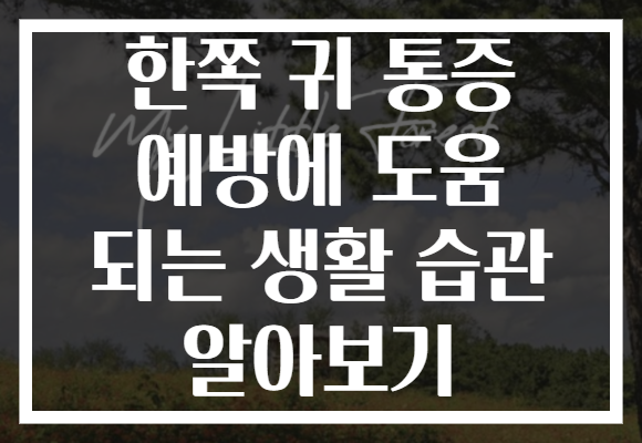 한쪽 귀 통증 예방에 도움 되는 생활 습관 알아보기