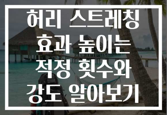 허리 스트레칭 효과 높이는 적정 횟수와 강도 알아보기