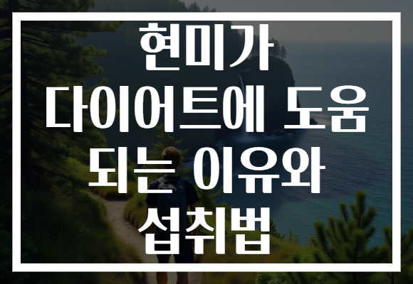 현미가 다이어트에 도움 되는 이유와 섭취법
