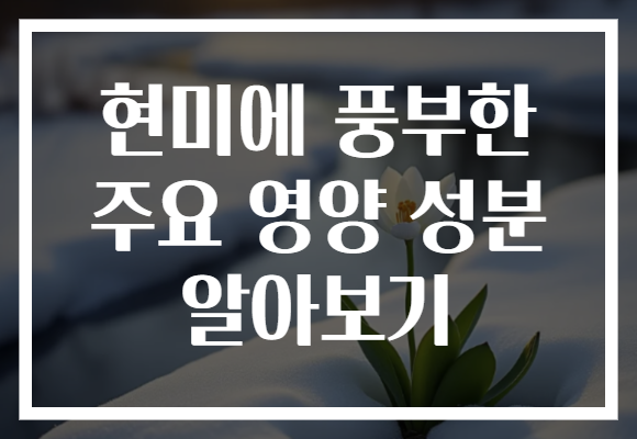 현미에 풍부한 주요 영양 성분 알아보기