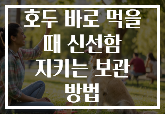 호두 바로 먹을 때 신선함 지키는 보관 방법