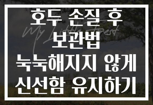 호두 손질 후 보관법 눅눅해지지 않게 신선함 유지하기
