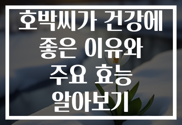 호박씨가 건강에 좋은 이유와 주요 효능 알아보기