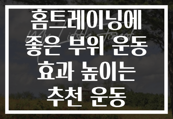 홈트레이닝에 좋은 부위 운동 효과 높이는 추천 운동