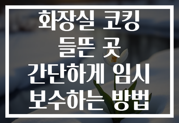 화장실 코킹 들뜬 곳 간단하게 임시 보수하는 방법