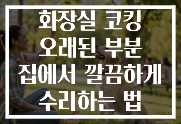 화장실 코킹 오래된 부분 집에서 깔끔하게 수리하는 법