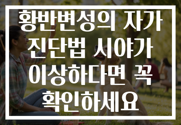 황반변성의 자가 진단법 시야가 이상하다면 꼭 확인하세요