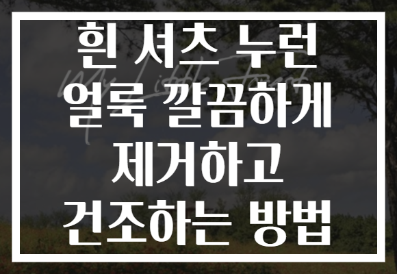 흰 셔츠 누런 얼룩 깔끔하게 제거하고 건조하는 방법