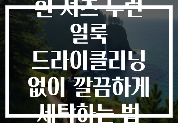 흰 셔츠 누런 얼룩 드라이클리닝 없이 깔끔하게 세탁하는 법