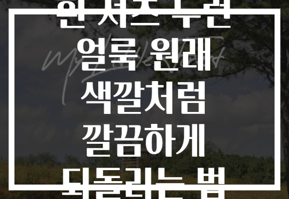 흰 셔츠 누런 얼룩 원래 색깔처럼 깔끔하게 되돌리는 법