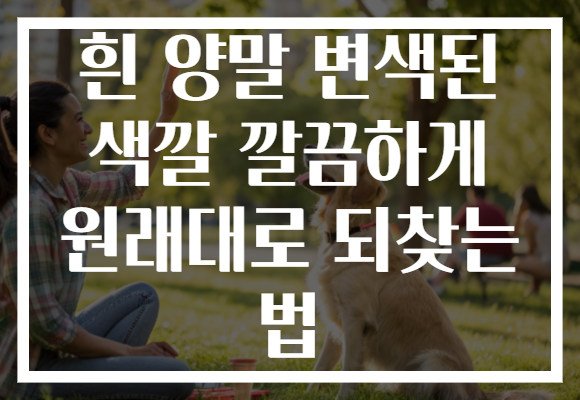 흰 양말 변색된 색깔 깔끔하게 원래대로 되찾는 법