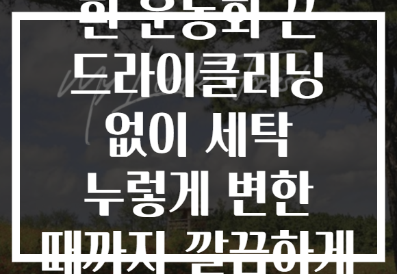 흰 운동화 끈 드라이클리닝 없이 세탁 누렇게 변한 때까지 깔끔하게