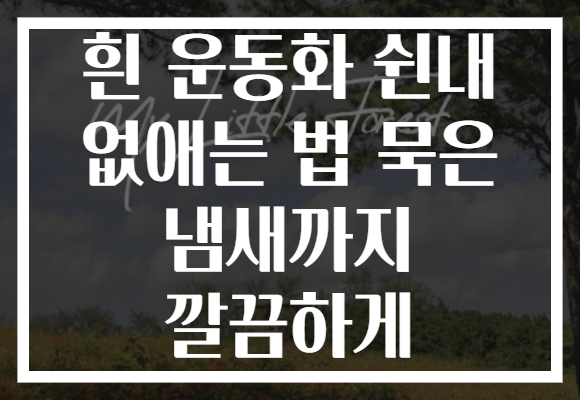 흰 운동화 쉰내 없애는 법 묵은 냄새까지 깔끔하게