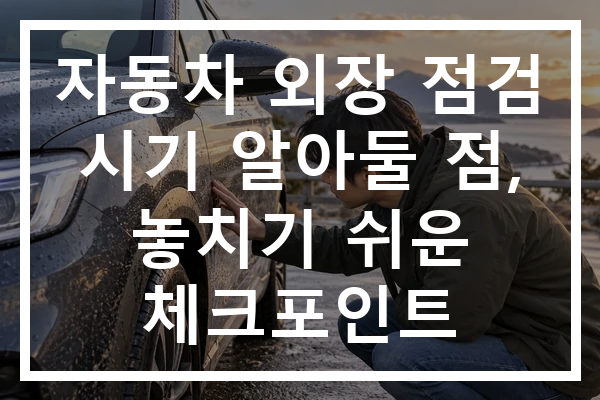 자동차 외장 점검 시기 알아둘 점, 놓치기 쉬운 체크포인트