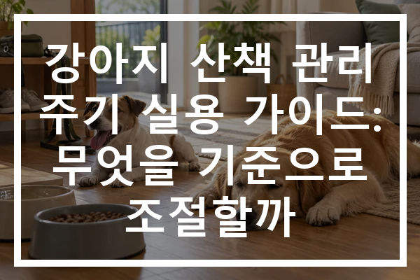 강아지 산책 관리 주기 실용 가이드: 무엇을 기준으로 조절할까