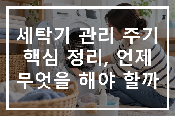 세탁기 관리 주기 핵심 정리, 언제 무엇을 해야 할까