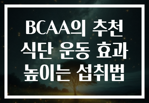 BCAA의 추천 식단 운동 효과 높이는 섭취법