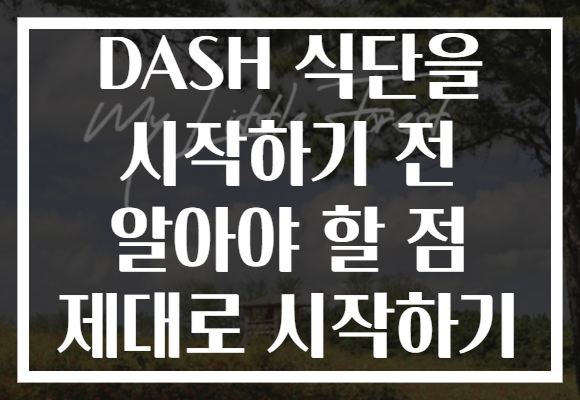 DASH 식단을 시작하기 전 알아야 할 점 제대로 시작하기