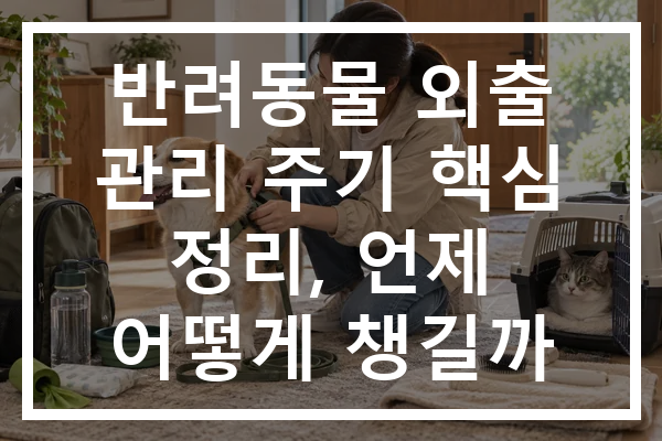 반려동물 외출 관리 주기 핵심 정리, 언제 어떻게 챙길까