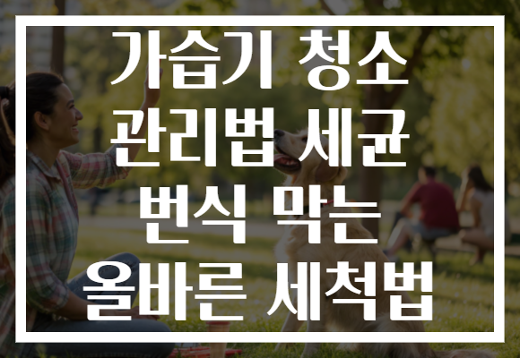 가습기 청소 관리법 세균 번식 막는 올바른 세척법