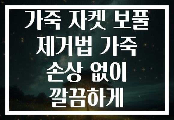 가죽 자켓 보풀 제거법 가죽 손상 없이 깔끔하게