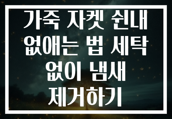 가죽 자켓 쉰내 없애는 법 세탁 없이 냄새 제거하기