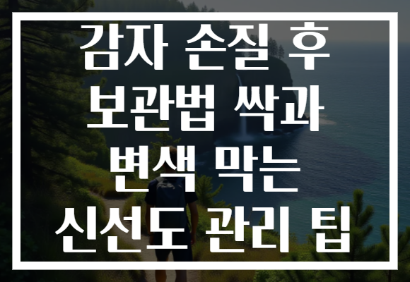 감자 손질 후 보관법 싹과 변색 막는 신선도 관리 팁
