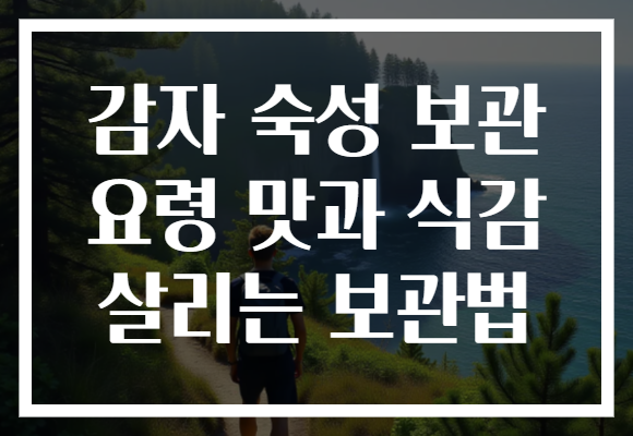 감자 숙성 보관 요령 맛과 식감 살리는 보관법