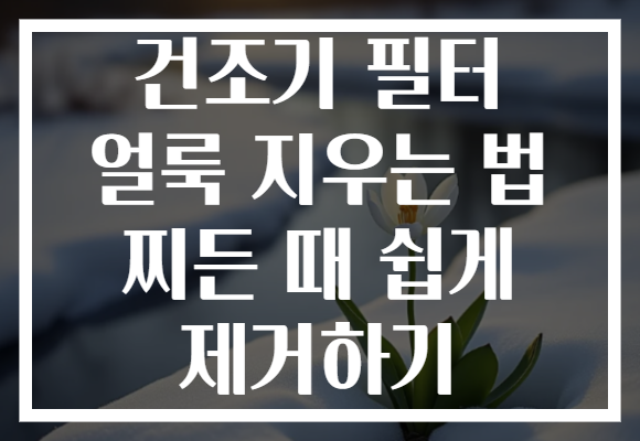 건조기 필터 얼룩 지우는 법 찌든 때 쉽게 제거하기