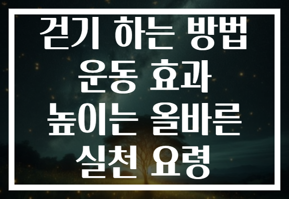 걷기 하는 방법 운동 효과 높이는 올바른 실천 요령