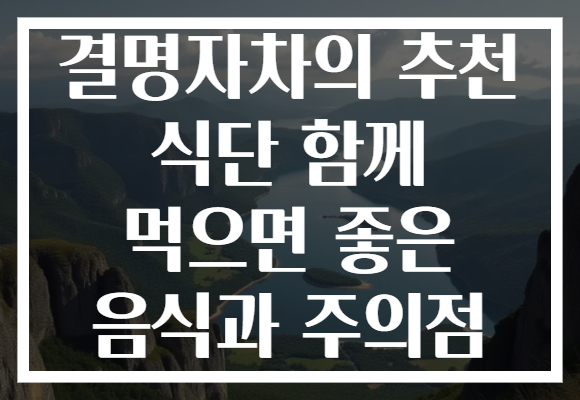 결명자차의 추천 식단 함께 먹으면 좋은 음식과 주의점
