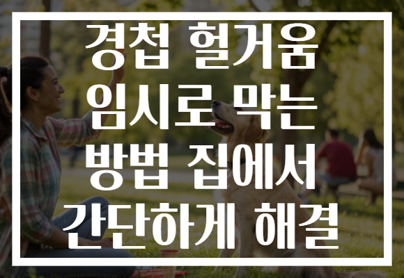경첩 헐거움 임시로 막는 방법 집에서 간단하게 해결