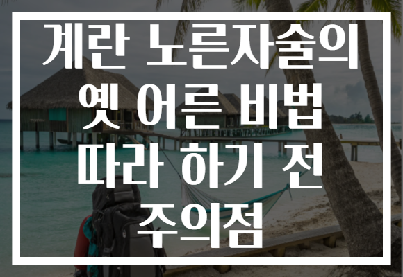 계란 노른자술의 옛 어른 비법 따라 하기 전 주의점