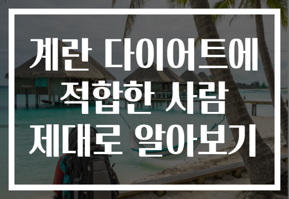 계란 다이어트에 적합한 사람 제대로 알아보기