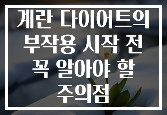 계란 다이어트의 부작용 시작 전 꼭 알아야 할 주의점
