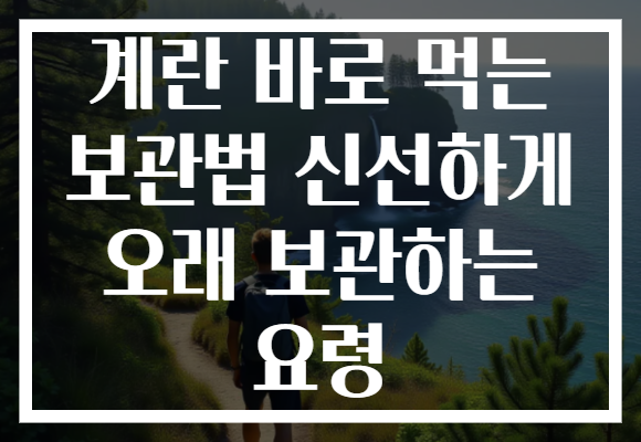 계란 바로 먹는 보관법 신선하게 오래 보관하는 요령